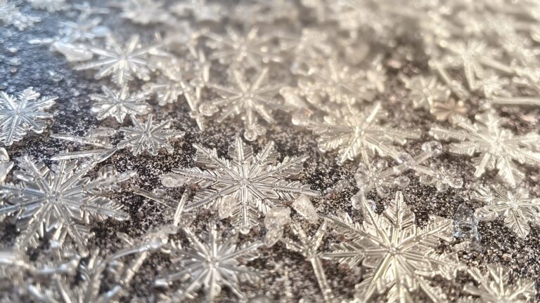 Learn nature’s wisdom through pattern