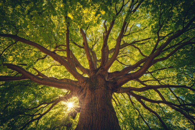 Day 5 — Branching: Clear Choices, Clean Next Steps