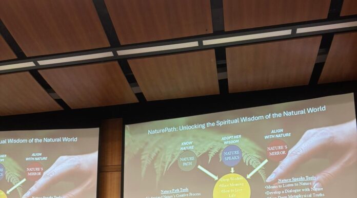 2nd Annual Forest Bathing Conference: Nature and the Future of Wellness