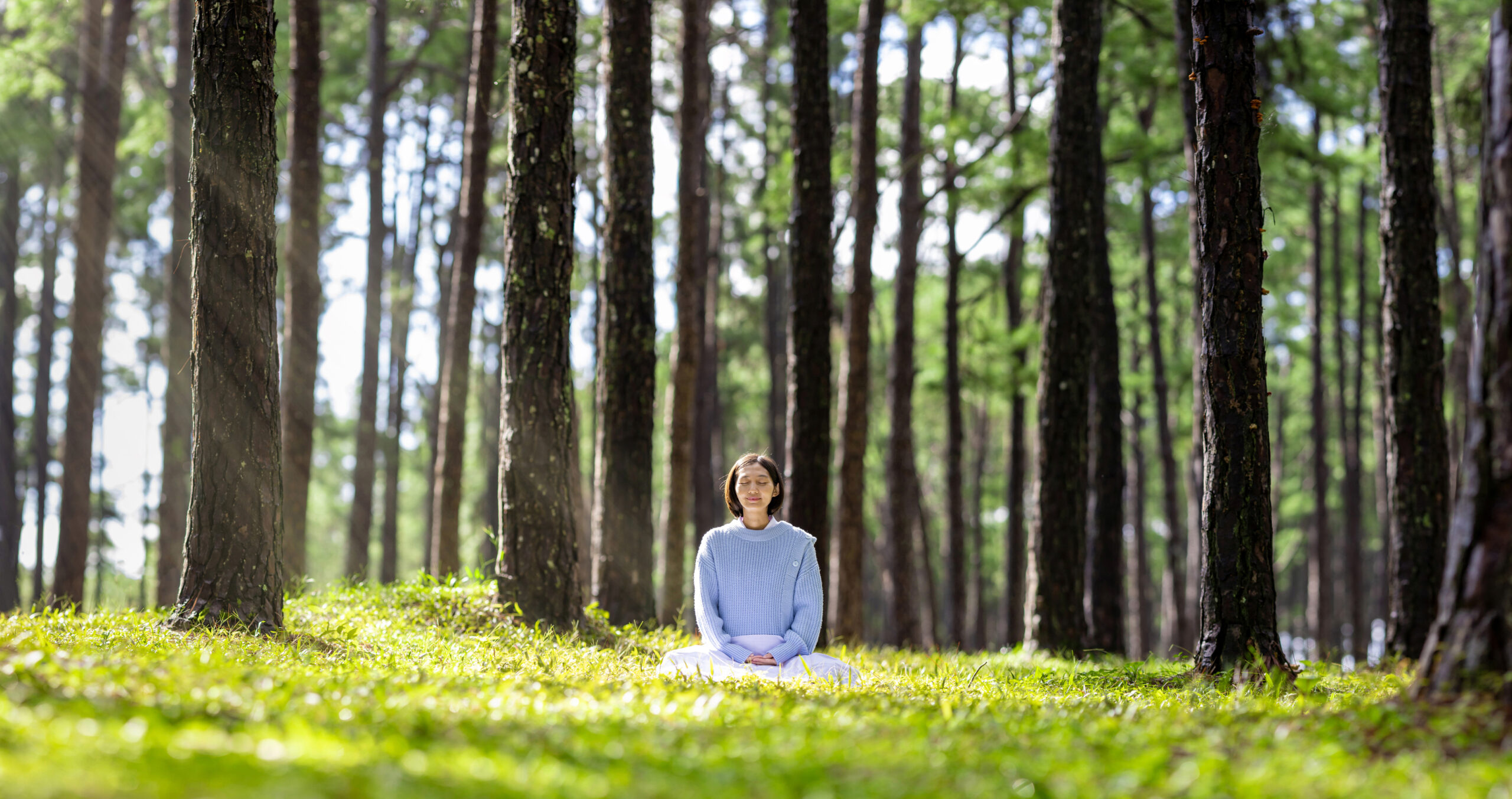 Woman relaxingly practicing meditation in the pine forest to attain happiness from inner peace wisdom with beam of sun light for healthy mind and soul concept for healthy mind and soul