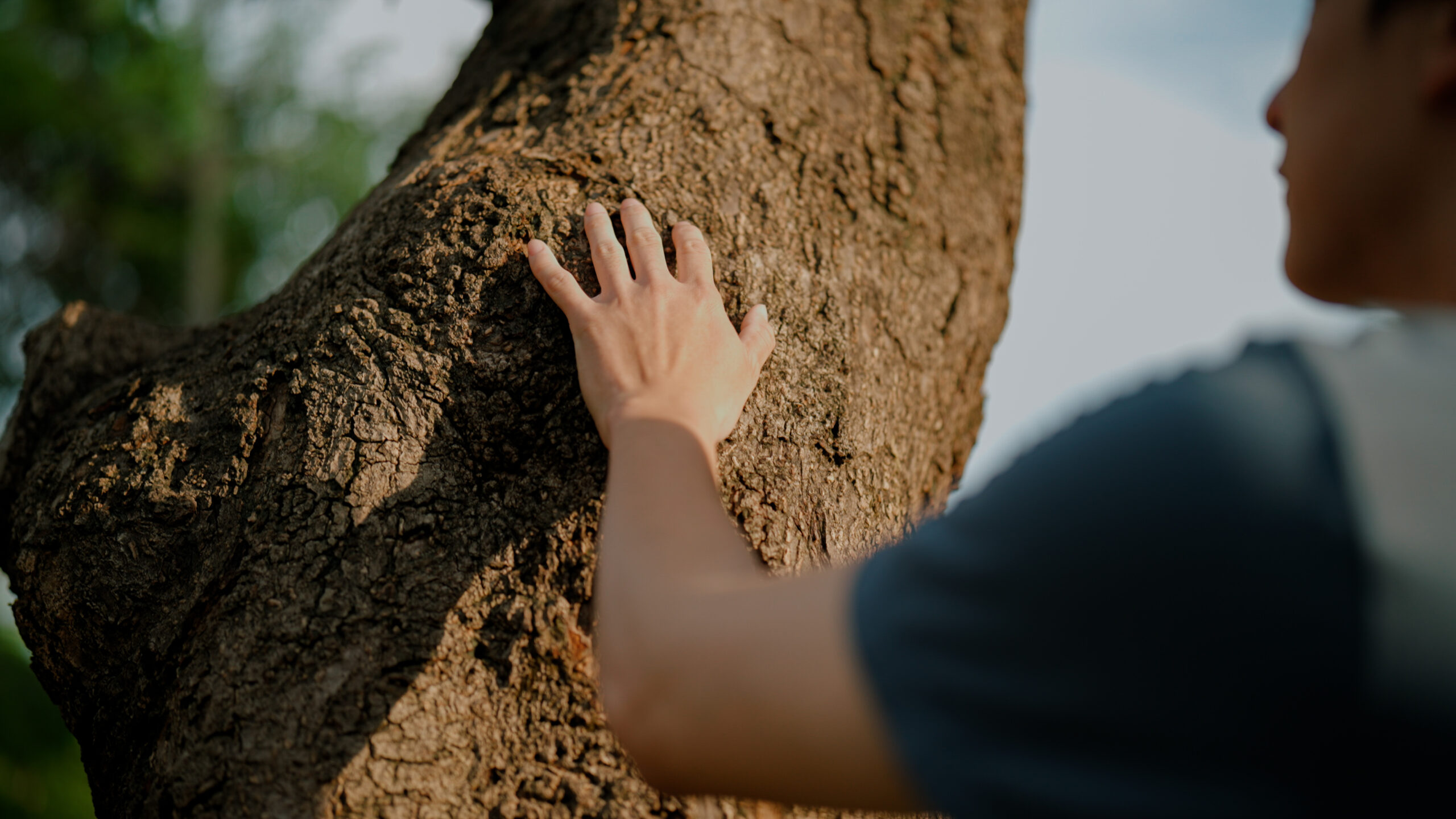 Young Asian man touching a big tree to receive its natural energy while relaxing in a public park.