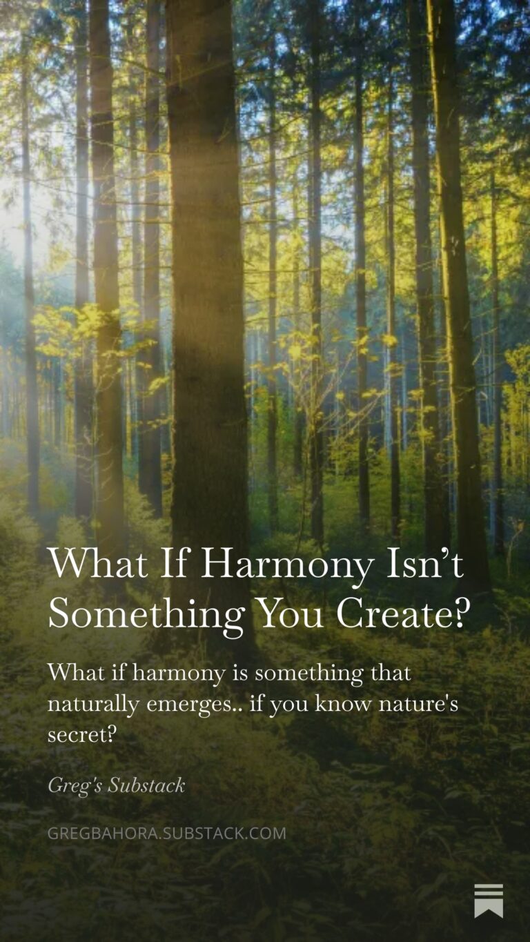 What If Harmony Isn’t Something You Create?